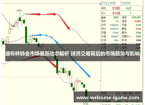 迪布林转会市场最新动态解析 球员交易背后的市场趋势与影响 迪布林转会市场最新动态解析 球员交易背后的市场趋势与影响