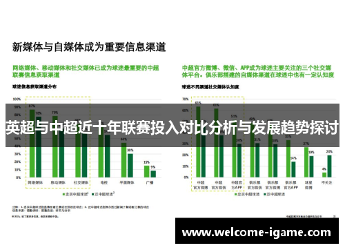 英超与中超近十年联赛投入对比分析与发展趋势探讨
